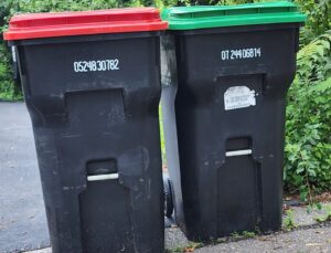 Rubbish and Recycling bin needs cleaning