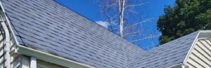 Pressure washing soft wash roof