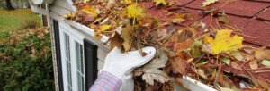 Gutter Cleaning