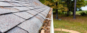 Leave And Pinestraw Filling Gutters On Home