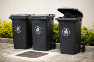 Garbage Bin Cleaning