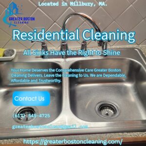 Kitchen Sink Cleaning Kitchen Sink Cleaning