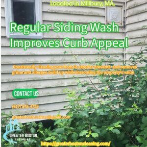 Residential Siding Pressure Wash Regular Siding Wash