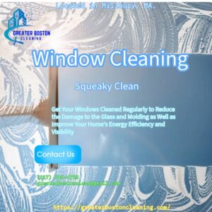 Window Cleaning Service Squeaky Clean