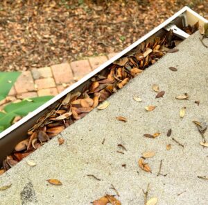 Residential Gutter Cleaning